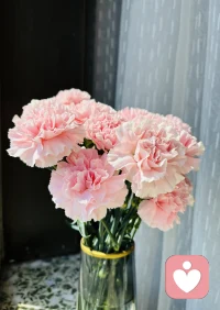 懂事的人，往往容易被忽略，
请先学会爱自己，周末愉快！