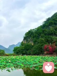 我们总觉得来日方长，什么事情都还有机会，
却忘了这人生其实是在做减法的，
很多远方错过一次就可能再也去不成了，
很多人错过一次，可能这辈子就不会再见了。
所以我们都要珍惜当下所有的美好，身边所值得遇见的人。
我是妮可，在这里等你~