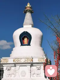 🏮敬过往·敬来日配图