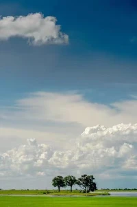 愛(ài)情是生活中最美好的體驗(yàn)之一，但長(zhǎng)期維系一段戀情并不容易。無(wú)論你處于怎樣的階段，以下幾個(gè)秘訣可以幫助你維系愛(ài)情，使之長(zhǎng)久。 
1.坦誠(chéng)溝通。溝通是建立親密關(guān)系的基石，因此確保你和伴侶在談話中坦誠(chéng)相待非常重要。不要隱瞞自己的感受或想法，也要嘗試聽(tīng)取對(duì)方的意見(jiàn)。
 2.互相尊重。尊重是關(guān)系的核心，因此你應(yīng)該始終尊重對(duì)方的感受和邊界。在處理矛盾和爭(zhēng)吵時(shí)，也要記得尊重對(duì)方。
 3.共同成長(zhǎng)。在戀愛(ài)關(guān)系中，你們應(yīng)該相互支持和鼓勵(lì)，共同成長(zhǎng)。在職業(yè)、興趣和個(gè)人發(fā)展方面，相互扶持和鼓勵(lì)可以加強(qiáng)你們的感情。 
4.保持激情。激情是維系愛(ài)情的關(guān)鍵。保持激情的方法包括嘗試新事物、旅行、分享興趣愛(ài)好等。 
5.培養(yǎng)共同興趣。共同興趣可以增強(qiáng)你們的聯(lián)系和互動(dòng)。可以嘗試一起做飯、看電影、運(yùn)動(dòng)或者旅游。
 6.體貼關(guān)懷。體貼和關(guān)懷可以讓對(duì)方感受到你的愛(ài)。可以為對(duì)方準(zhǔn)備驚喜、送上小禮物、關(guān)心對(duì)方的健康等。 
7.接受和寬容。戀愛(ài)關(guān)系中難免會(huì)有矛盾和爭(zhēng)吵，但是接受和寬容可以讓關(guān)系更加穩(wěn)定。不要試圖改變對(duì)方，而是接受對(duì)方的不足和優(yōu)點(diǎn)。
 8.堅(jiān)定的承諾。在戀愛(ài)關(guān)系中，你應(yīng)該始終對(duì)對(duì)方堅(jiān)定承諾。這意味著要尊重彼此的承諾，不輕易背叛。配圖