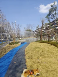 你活著的時候，沒有幾個人在觀看，你死了以后也不會有幾個人記得你！除了生病以外，你所感受的痛苦都是你的價值觀帶給你的！而非真實存在的。換種想法，也許這些痛苦都會煙消云散！你應該在乎的無非三件事：你的錢，你的健康，內心的平靜。不要相信壓力會轉化為動力，也許只會轉化為病例！保持快樂的秘訣是無所謂，一旦內心平靜，外界便會鴉雀無聲！人生最好的貴人就是努力向上的自己！當我們精神內耗的時候，一定要記得人生只是各種體驗的疊加。也許你的體驗就是人生最大的意義！小時候班上名次是天大的事，大一點考上高中考上大學也是天大的事，再大一點和喜歡的人人是天大的事。很多年以后，以前天大的事也會變得索然無味，以前以為不能接受的，最后也在時間磨合下，慢慢地接受了！錢沒了可以再掙，愛情沒了可以再遇，工作沒了可以再找，朋友沒了可以再交，真正的強大不是忘記，而是接受。接受世事無常，接受孤獨挫敗，接受困惑，不安，焦慮，遺憾。只要把心靜下來，把該做的事做了，該走的路走完，人生短短三萬天，開心是一天不開心也是一天。人生走完開心的日子多一點，也許人生就完美了吧！配圖