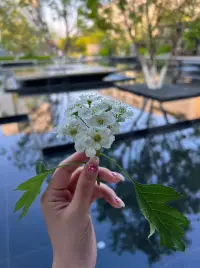 沒辦法不期待，
夏天西瓜味的風
和橙色的晚霞。配圖