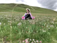 山河遠闊，人間星河，無一是你，無一不是你配圖