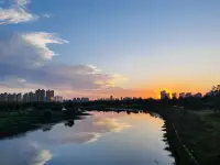 总有一天你会明白，治愈你的从来不是时间，而是你心里的那股释怀与淡然，学会好好爱自己