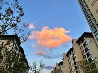 分享一下昨天下午 随手拍的夕阳🌇