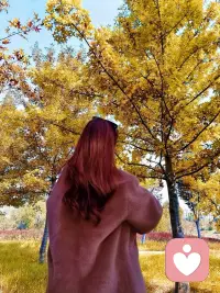 “ 人生有缺憾，才是常態(tài)。”配圖