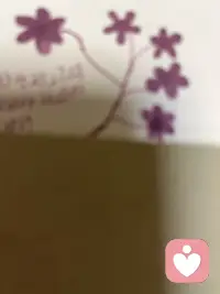 希望你珍惜每一朵花開，也接受你的寂寞沉甸甸。我們各自花開。各自生長。