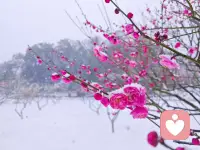 有时候被人误解……请您对自己说一句：你已经做的很好了。配图