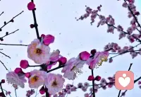 有时候被人误解……请您对自己说一句：你已经做的很好了。配图