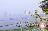 有时候被人误解……请您对自己说一句：你已经做的很好了。配图