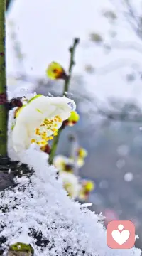 有时候被人误解……请您对自己说一句：你已经做的很好了。配图