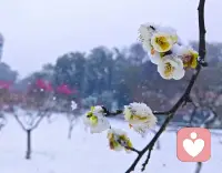 有时候被人误解……请您对自己说一句：你已经做的很好了。配图