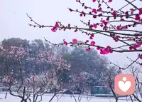 有时候被人误解……请您对自己说一句：你已经做的很好了。配图