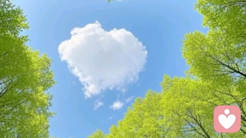 滴滴碎碎念·夏