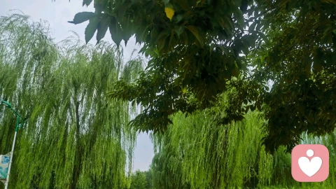​​3.希望的核心力量\n\n“满怀希望就会所向披靡” 点出了 ​​希望（Hope）​​ 这一核心积极心理特质的力量。心理学将希望定义为一种积极的动机性状态，包