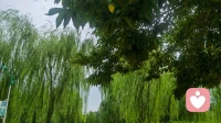​​3.希望的核心力量\n\n“满怀希望就会所向披靡” 点出了 ​​希望（Hope）​​ 这一核心积极心理特质的力量。心理学将希望定义为一种积极的动机性状态，包