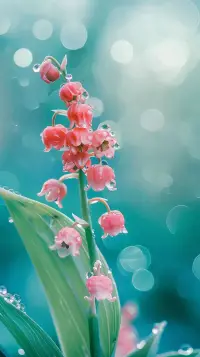 時(shí)光知味，歲月沉香；溫柔半兩，從容一生。不管天氣如何，給自己一片晴朗；不論季節(jié)變換，讓內(nèi)心鳥(niǎo)語(yǔ)花香。春在眼里，路在腳下，心在遠(yuǎn)方。只管向前，自有美景精彩。配圖
