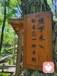 生活不必一直赶路，偶尔慢下来，给自己一点喘息的时间，愿我们都能在喧器里，找到属于自己的平衡与温柔🌿