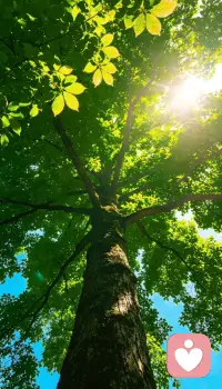 最好的贵人是自己🍃
最大的资源是能量☀️