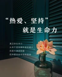 好的關系，是相互滋養(yǎng)的土壤。多些理解少些計較，多些支持少些指責，能量便能在愛意中流動。配圖