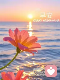 生命就是一場(chǎng)奔走，
讓我們向著陽(yáng)光，努力前行。
夢(mèng)想或許遙遠(yuǎn)，腳步或許緩慢，
但積攢的微光終將照亮黑暗。
早安！加油??配圖