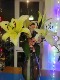 鳥語花香
春風相伴
心思飄逸
靈魂奔跑于天際
追尋生命的繁華
錦衣美食
兒女情長
功名成就
依然是價值連城的生活模樣 ??
在縹緲與清晰中
自由馳騁
愜意共享
生命與生活的屢屢相逢??配圖