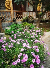 關(guān)注積極力量與潛能。積極心理學(xué)認(rèn)為每個人都蘊(yùn)藏著積極的力量和潛能，這些特質(zhì)包括自信、堅持性、樂觀、開放與冒險以及樂于接受別人的意見等。配圖