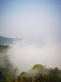想象是一種美，想象可以使生活變得美好；可以使人生變的絢麗多姿；可以使人獲得極大的精神滿足，獲得源源不絕的思想支持。
想象是一種美，想象可以使人快速的達到自己的希望，實現自己的理想。
想象是一種美，想象可以使虛幻的現變得美好 使自己的一切如愿以償。使現實變得更含蓄，更美好。
喜歡適當的想象，因為想像是一種美，但不是無限的空想。配圖