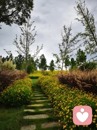 逆反情結(jié)，也稱為逆向心理和對抗心理，是指人們彼此之間為了維護(hù)自尊，而對對方的要求采取相反態(tài)度和言行的一種心理狀態(tài)。你越要求什么，別人就越反對什么。
人為什么會有逆反情結(jié)？《心理學(xué)入門》一書中是這么說的：因為人的自我價值是熱愛生活、追求生活意義的心理根基，任何人都無法接受自己無價值地活在世上。
當(dāng)一個人自我價值受到影響和損害時，他會本能地進(jìn)行自我價值的保護(hù)，在態(tài)度和行為上抗拒外界的勸導(dǎo)和說教，這種逆反心理也被稱為“自我價值保護(hù)逆反”。配圖