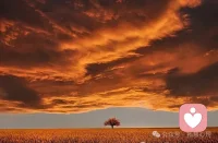 如果對所有問題都刨根究底，會極大的破壞一個人的生活樂趣，因為有很多事情我們沒必要問為什么，享受就可以了。配圖