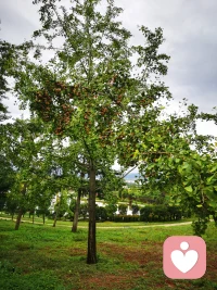 神經質、憤怒、焦慮、抑郁、精神病，這些都是消極痛苦的一面。愉悅、滿足、歡樂、興奮、幸福，則是積極的一面。也正是積極心理學所研究的一面。再次強調擺脫消極的情緒，并不意味著我們會自動有積極的情緒。大多數人悄無聲息地過著絕望的生活。人們慣于愜意地麻木。愜意的麻木不是幸福，我們如何超越“愜意的麻木”，如何超越于“悄無聲息的絕望的生活”，從而產生興奮、歡樂和幸福的感覺。為了實現這個，我們必須培養自身品質。再次重申，幸福并不是伴著痛苦的遠去即刻生成。正因為此，我們才需要積極關注。配圖