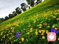 人生哪有什么萬全之策，短短百年，不過教人取舍罷了，手持煙火以謀生，且停且忘且隨風，且行且看且從容。配圖