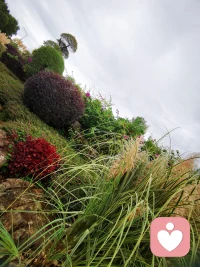 誰意識到自己

內在的黑暗了，

光也就近了。


——卡爾·榮格《紅書》配圖