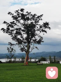 越是會正確表達攻擊性的人，越強大。

弗洛伊德說，人的行為受兩種東西的驅使：一個是性驅力，另一個是攻擊性。
在傳統觀念中，攻擊性往往被視為一種負面的、需要壓抑的特質。
然而，從心理學的角度來看，正確表達攻擊性是一種非常重要的能力。
那些越是會正確表達攻擊性的人，往往越強大。
從進化心理學的角度來看，攻擊性是源于人類對生存、資源獲取以及自我保護的需求。
在原始社會，攻擊性幫助人類應對來自外界的威脅，爭奪有限的食物和棲息地。
作為人類與生俱來的生命力，攻擊性是一種本能， 無法被消除。攻擊性是一種生命本能，每個人生來都有攻擊性。
攻擊性需要被表達，不能被壓抑。
弗洛伊德說：如果一個人不能象征性地、合理地表達自己的攻擊性，就會出現心理問題。
有些人面對侵犯自己權益的事情， 不敢維護自己， 總是自己生悶氣，進而將攻擊性轉向自身，產生自我否定、抑郁等情緒問題。


長期壓抑攻擊性的人可能會變得過度自卑，覺得自己沒有價值，在面對挑戰時缺乏自信和勇氣。


另外，壓抑的攻擊性還可能以被動攻擊的形式出現，表面上順從，但在暗地里通過拖延、敷衍等方式來表達不滿，這種方式不僅不利于問題的解決，還會破壞人際關系。


那些優秀的人，會恰當地釋放自己的攻擊性，維護自己的權利。
怎樣才能正確表達“攻擊性”？
1.自我覺察和接納
2.清晰表達自己的邊界
3.用恰當的方式表達
總之，是人皆有情緒，每個人都有表達憤怒和攻擊性的權力。但是，你一定要正確地表達自己的攻擊性。你要明白，你之所以表達你的攻擊性，不是為了指責、傷害對方，而是為了保護自己，幫助自己更好的和對方建立關系。在這個過程中，真誠是永遠的必殺技！配圖