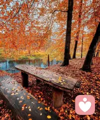 一個人焦慮的本質：是一直處于怕的狀態壞事還沒有發生，你就提前害怕，就等于你遇見兩次壞事。
長期活在人為制造的恐懼中，終有一天會被內心的黑洞吞噬。
穩住心態，耐住性子，做好該做的事，時間自會給你答案。配圖