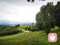 命運的旅途中，每個人演出的時間都是規定的，該退場的時候，多么不舍得，也得退場。
成年人的世界，沒有永遠。?對一段關系，盡力又盡心了，就是對這段感情最好的交代。配圖