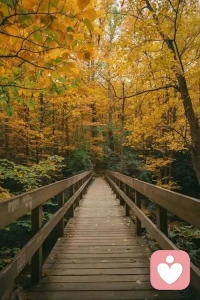 人生天地之間，若白駒過隙，忽然而已。
面對無常：看透無常，一切都是尋常。配圖