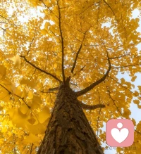 真正的強大不是對抗，而是允許一切發生，允許遺憾，允許丑陋，允許虛偽，允許付出沒有回報，生活給予什么就接受什么配圖