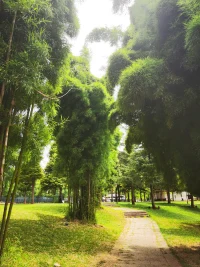 簡單一點，不期盼外界的認可，不在意他人的評價，才能遵從內心，活出自己。因為別人都不過是你生命中的過客，只有自己才是自己生活的掌舵人。配圖