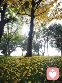 世界有两个我，一个心怀沧海摘星辰，一个困于市井数朝暮，真正成熟，不是抛弃其中一个，而是让两个达成统一，组成完美强大的我。