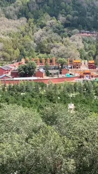 學會施人以愛，必將受人深情；學會行事坦蕩，必將獲人信任；學會堅持到底，必將得償所愿。配圖