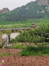 生活最好的狀態，莫過于對過去釋懷，對將來坦然，而對當下不遺余力。很多時候，能讓人笑到最后的，并非握緊，而是放下；能讓人感到幸福的，并非擁有，而是失去。人生百年，屋寬不如心寬，身安不如心安。
愿余生，修一份積極的心態，養一份陽光的心情，不負年華，不負今生！共勉！
?配圖