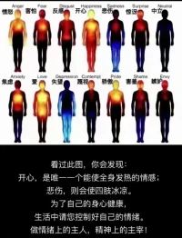 最好的养生：善忘、少怨、不比，事来心应，事去心止，自省自行自醒。🔆