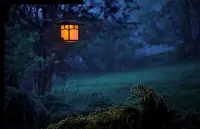 夜晚很美，路燈很亮，每個城市都不缺晚歸的人。當夜深人靜的時候，把那些藏在心底的秘密再過一遍，能放下的就放下，放不下的可以找我聊聊。配圖