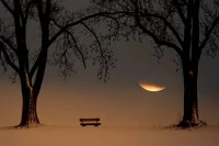 當(dāng)夜晚來臨的時(shí)刻，也許是每個(gè)人靠近自己最近的時(shí)刻。轟隆的嘈雜，趕路的行人，步履匆忙，我們每天都在熟悉的城市里游走，或者飛到另一個(gè)遙遠(yuǎn)的所在。我們身處各樣的空間里，我們的心呢，在哪里，又有多少人會(huì)慢慢地靠近它，聆聽過它的需要。配圖