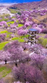 周末是一條神奇的時光隧道，可以偷回一點點空閑時光，將生活調(diào)回自己喜歡的頻道。生活最好的樣子，也許就是臉上有微笑，心中有陽光，眼里有風(fēng)景，身邊的一切都閃閃發(fā)光。配圖