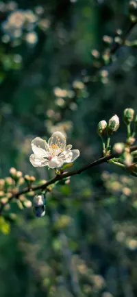 哈佛學(xué)者曾說，影響個(gè)人幸福最重要的外部因素是人際關(guān)系。所以如果你想變得開心的話，要選擇和樂觀的朋友在一起，他們能欣賞你真實(shí)的自己，讓你的生活變得豐富，快樂，有意義。配圖
