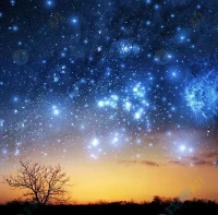 夜晚，我在天上敲星星。忽然星星全都掉了下來，像一條小河流了下去，我連忙捂住嘴不敢出聲。配圖