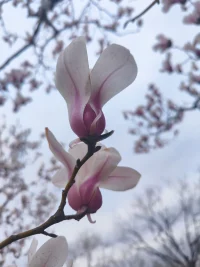 作家果凍曾寫過(guò)，“與人相處時(shí)，如果你不能為對(duì)方提供良好的情緒價(jià)值，反而一再消耗對(duì)方的情緒。那么崩盤的就不只是對(duì)方的情緒，還可能是你們之間的關(guān)系。”配圖