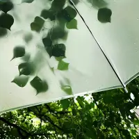 你不能要求擁有一個沒有風(fēng)暴的人生海洋，因為痛苦和磨難是人生的一部分。一個沒有風(fēng)暴的海洋，那不是海，是泥塘。配圖
